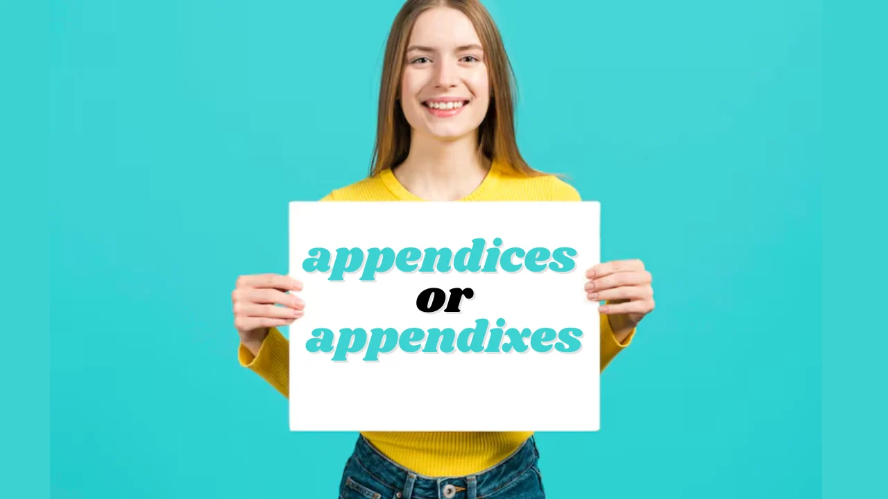 appendices or appendixes