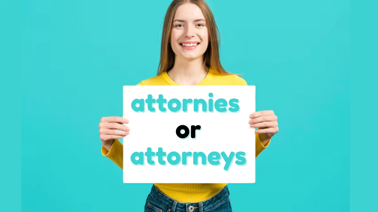 attornies or attorneys