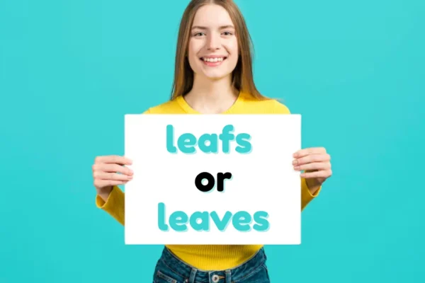 leafs or leaves